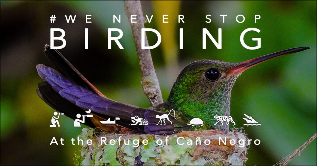 Need a Custom Birding or Photography Trip? - Hotel de Campo