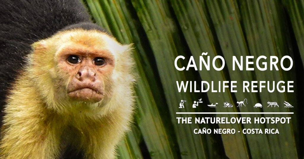 Planning Your Visit to Caño Negro Refuge - Hotel de Campo