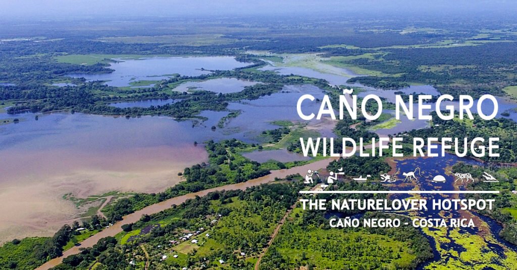 birding experience in Caño Negro with Hotel de Campo Caño Negro