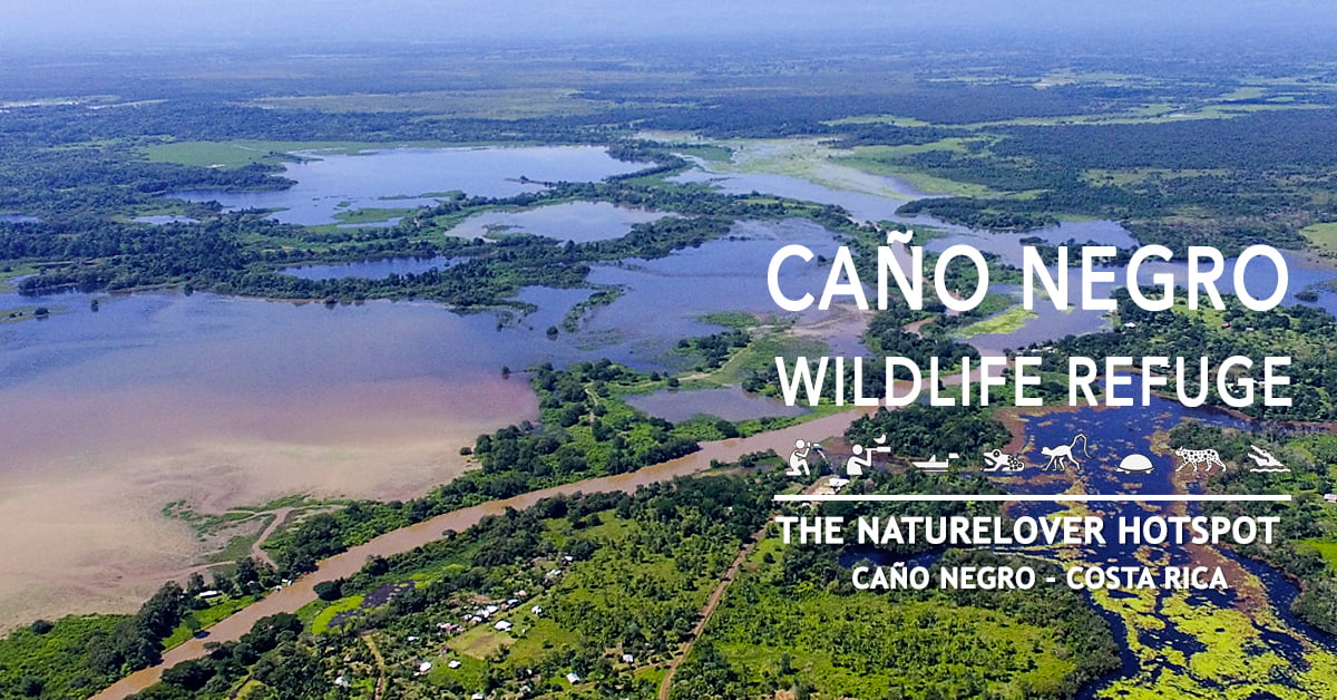 Exploring Caño Negro Refuge by Boat - Hotel de Campo