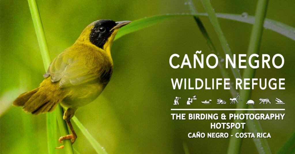 What is the best time to visit Caño Negro?