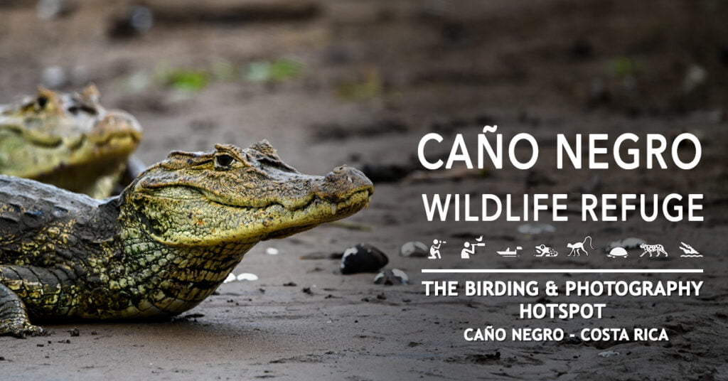 Is Caño Negro Refuge a good place for Watching Wildlife? Stay at Hotel de Campo Caño Negro