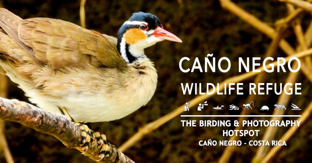 Conservation and Sustainable Tourism in Caño Negro - Hotel de Campo