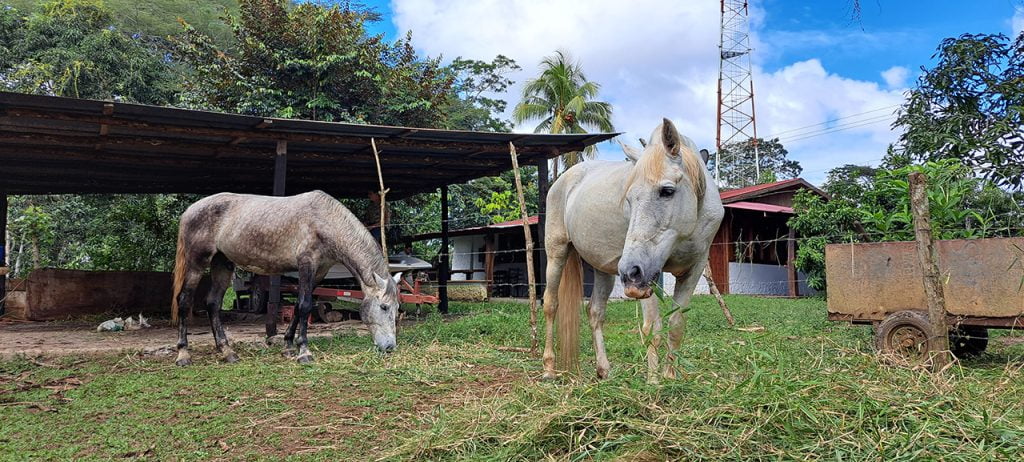 agro tourism costa rica