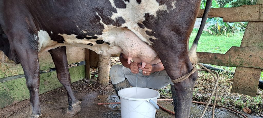 Agrotourism costa rica