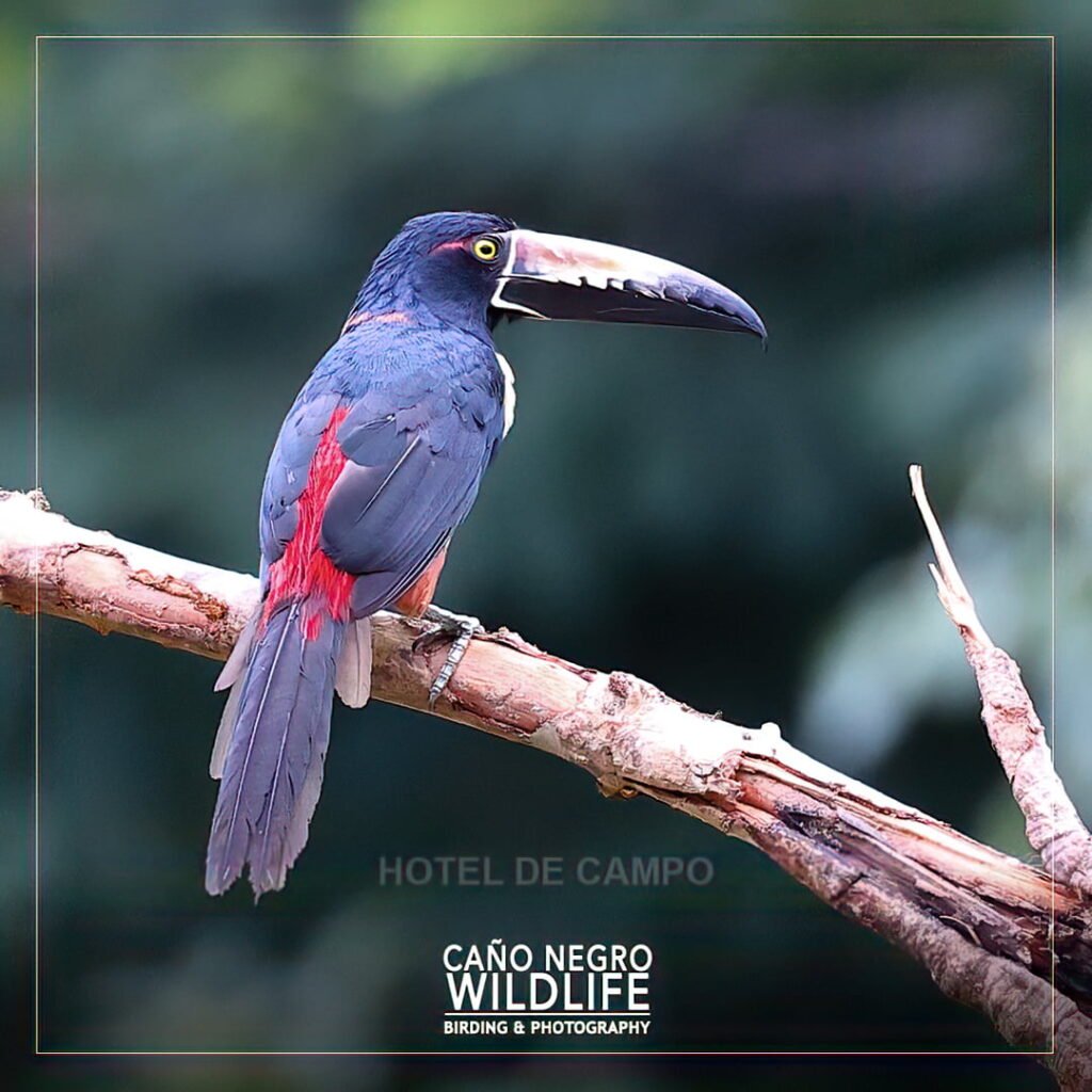 Sustainable tourism in Costa Rica
